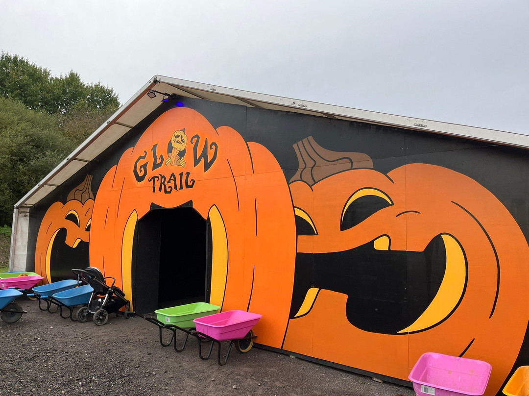 Pumpkin Time @ Sunnyfields Farm景点图片