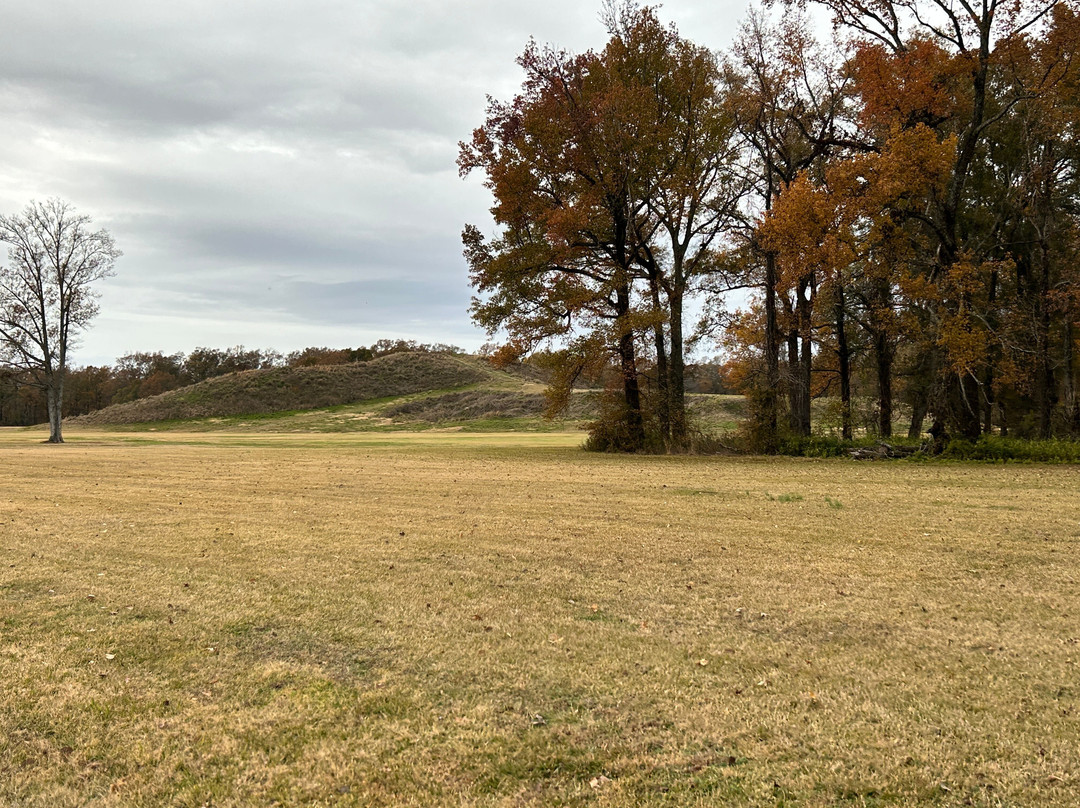 Poverty Point World Heritage Site景点图片
