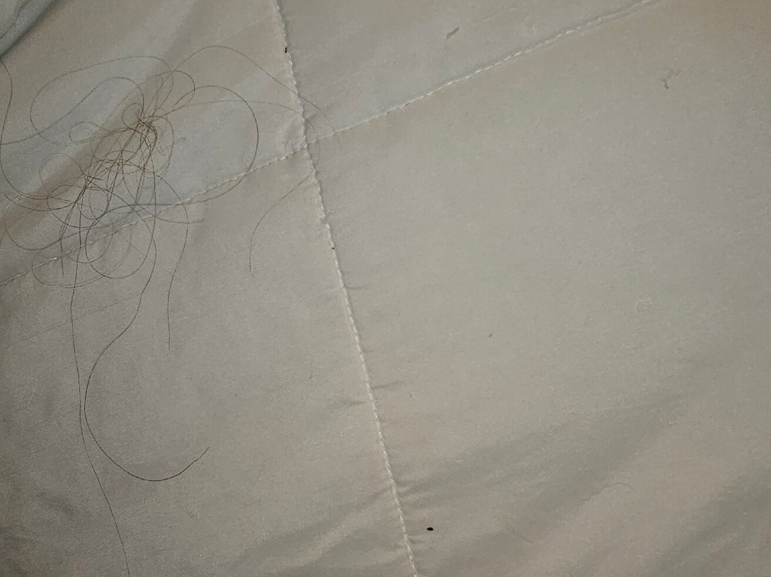 罗厄诺克拉皮兹希尔顿花园旅馆主图