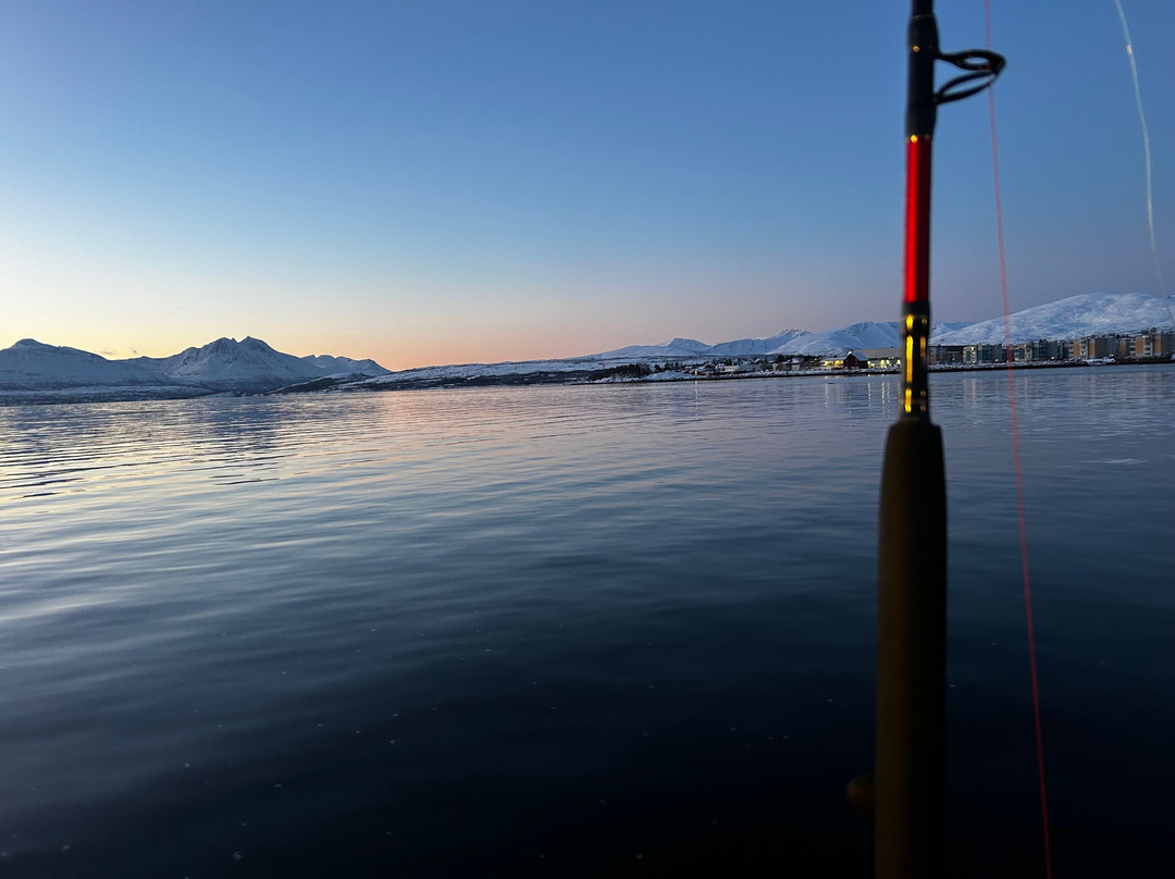 Soroya Havfiskecruise – Day Tours-特罗姆瑟必去景点