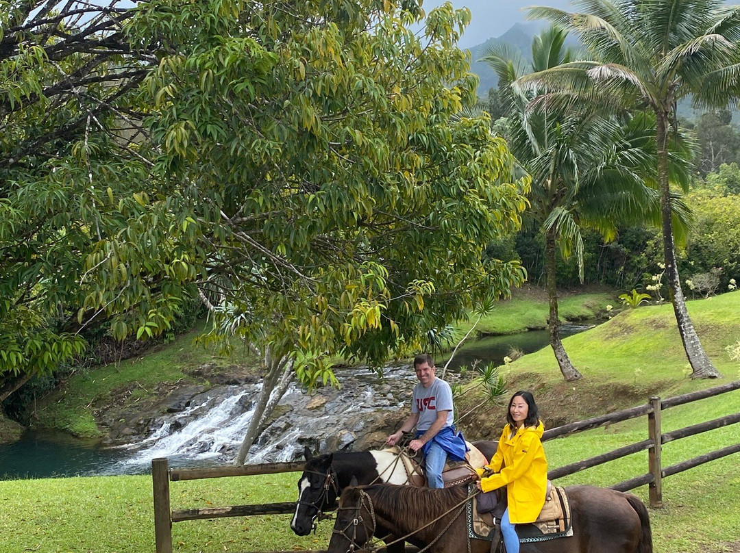 Silver Falls Ranch-基拉韦厄必去景点