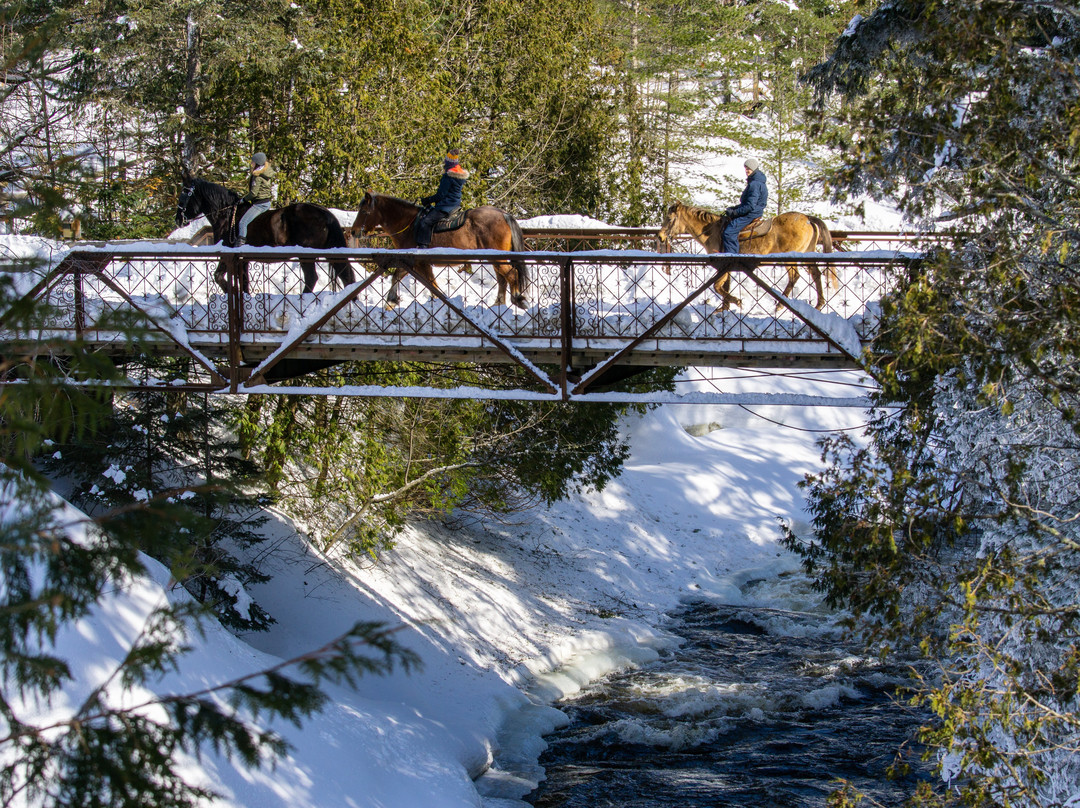 Le Baluchon Eco-Villegiature主图