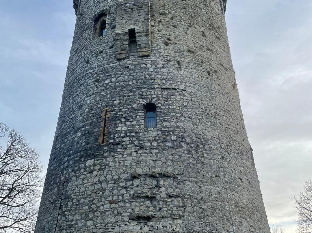Nenagh Castle-Nenagh必去景点