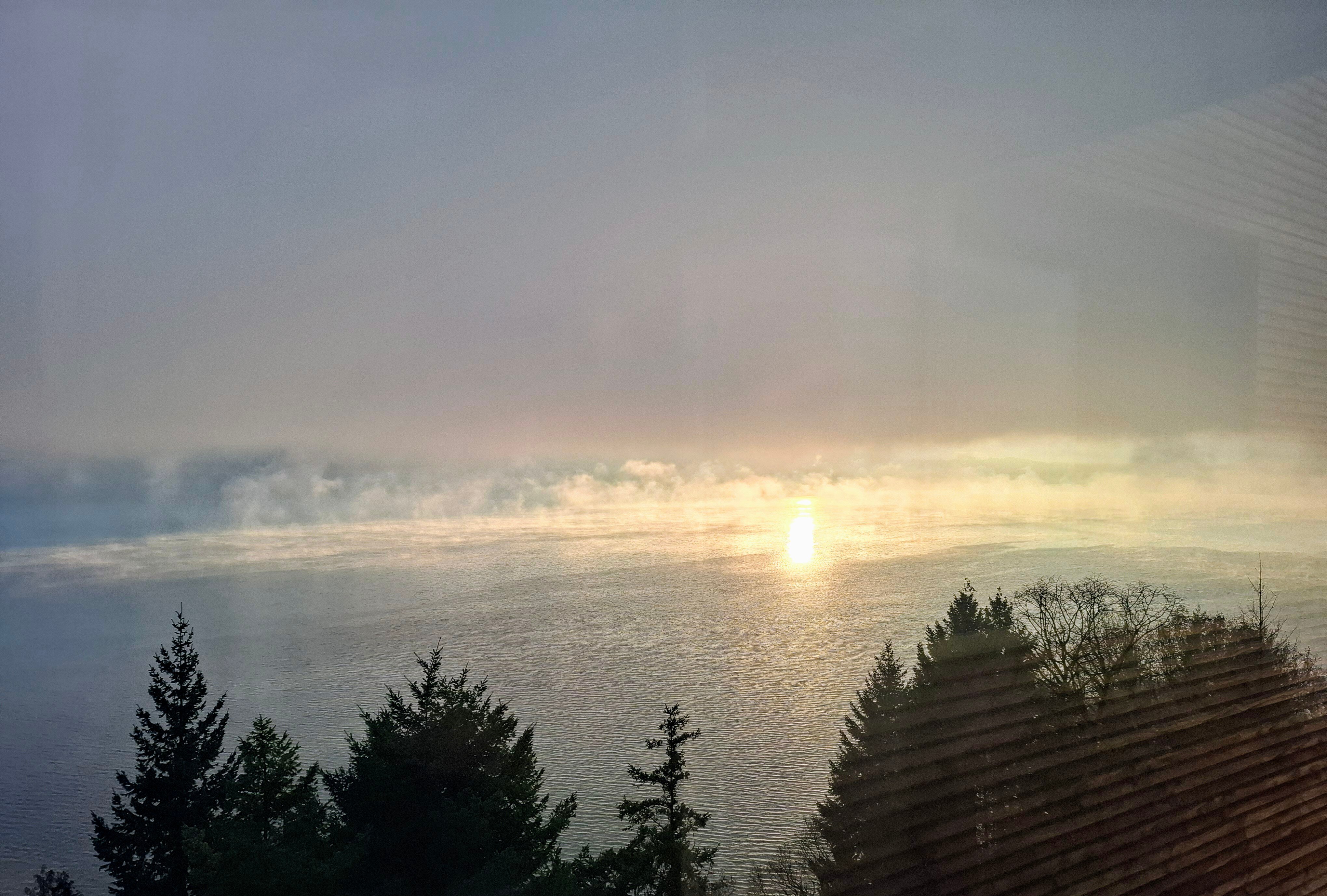 La Turqoise Egarée-官方