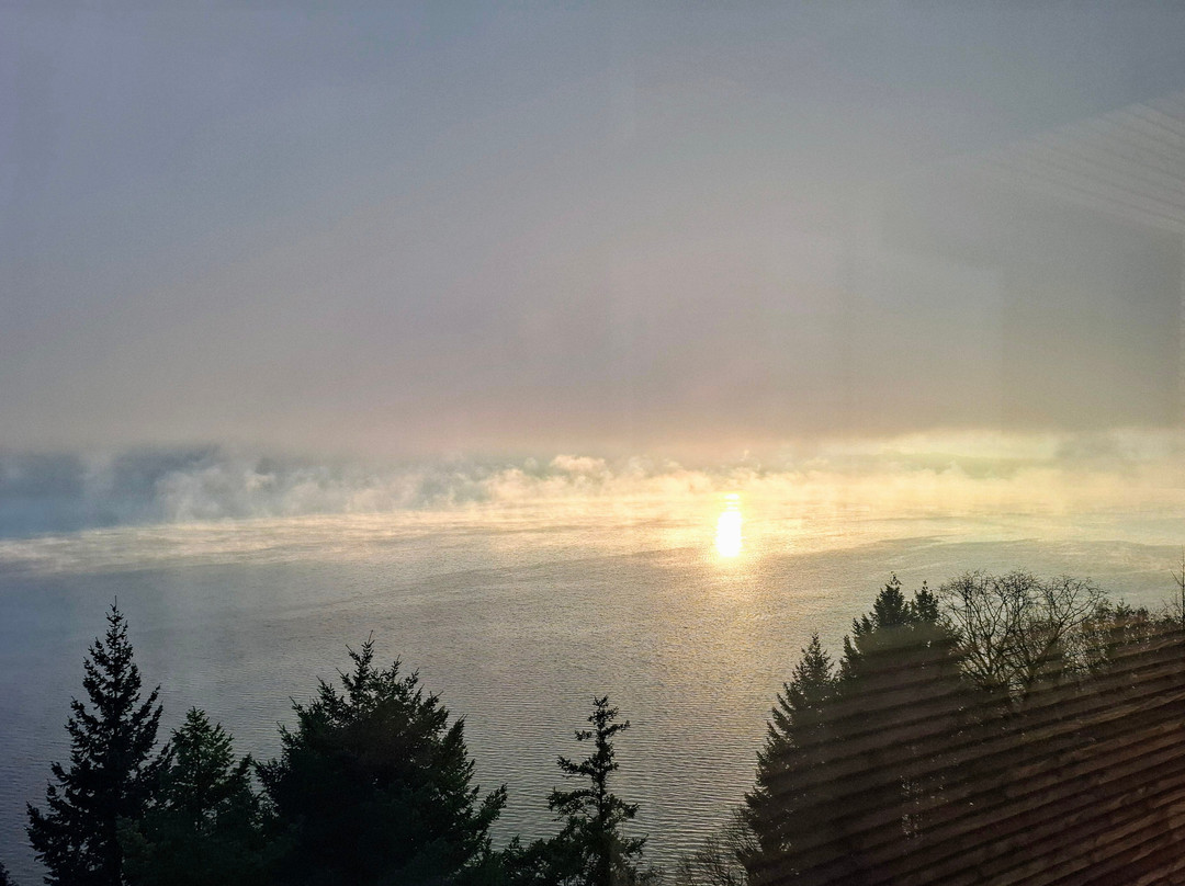 La Turqoise Egarée主图