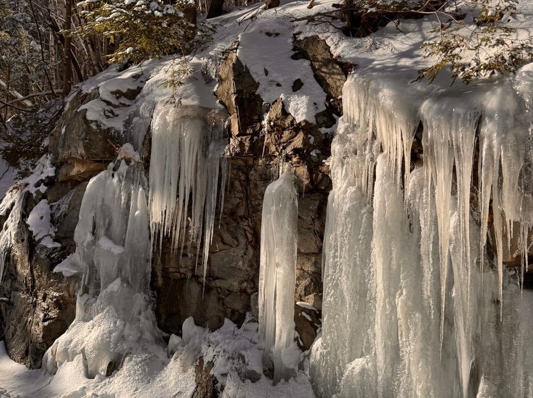 Whiteface Farm Adirondack Bed and Breakfast主图