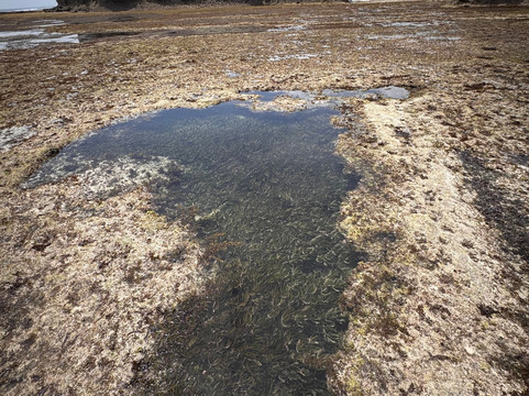 Dashna Safari Kenia-瓦塔木必去景点