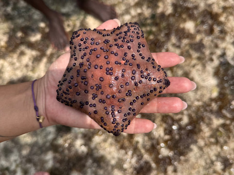 Dashna Safari Kenia-瓦塔木必去景点