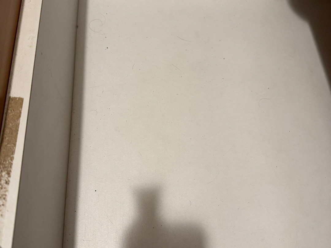 Odalys Essential Residence L'Ouillon主图