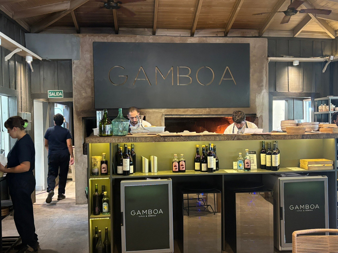 Gamboa - Viñas & Bodega景点图片