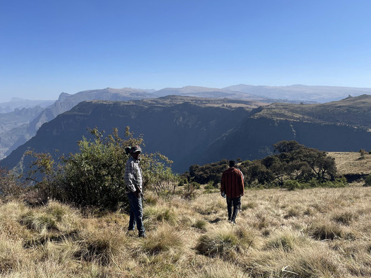 Simien Roof Tours-贡德尔必去景点