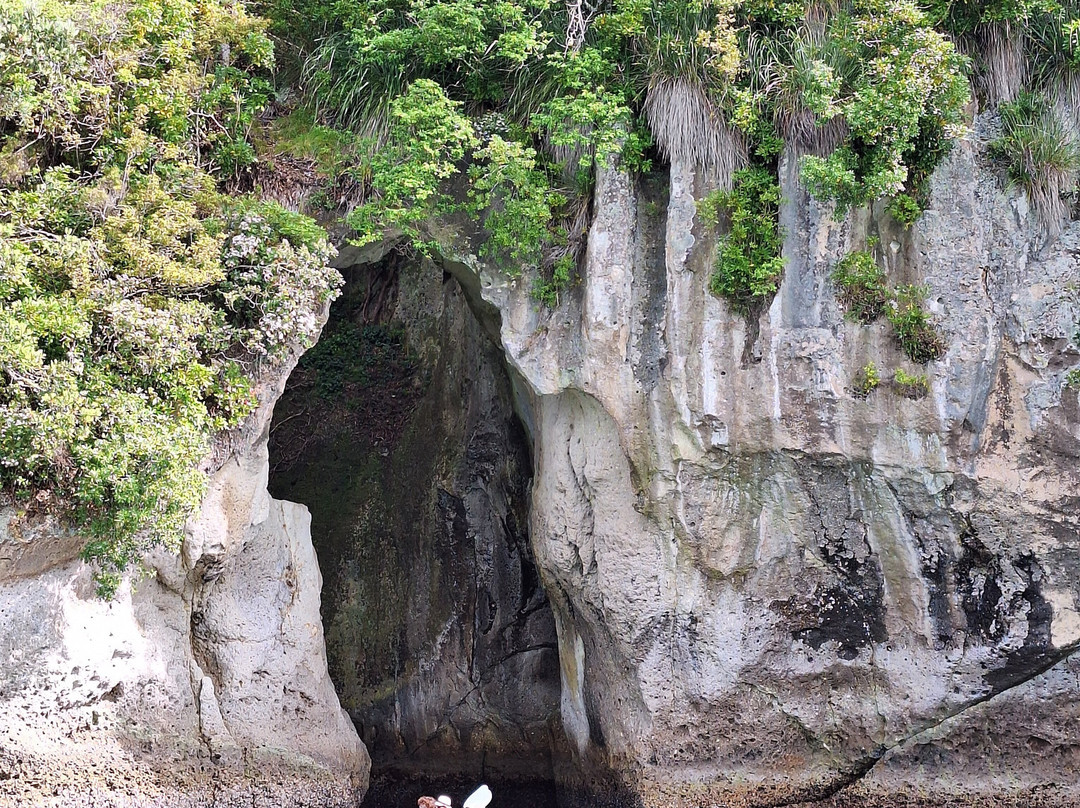 Cathedral Cove Scenic Cruises-菲蒂昂格必去景点