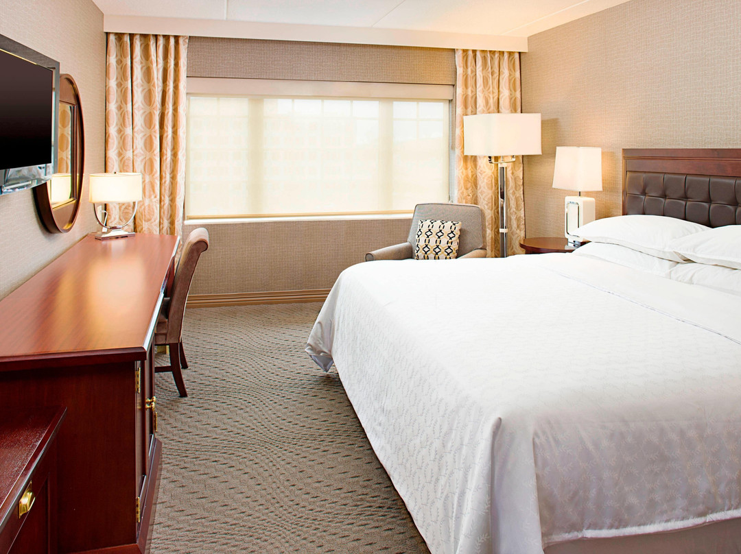 罗克维尔喜来登酒店主图