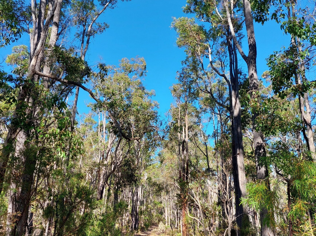 Dalgarup National Park景点图片
