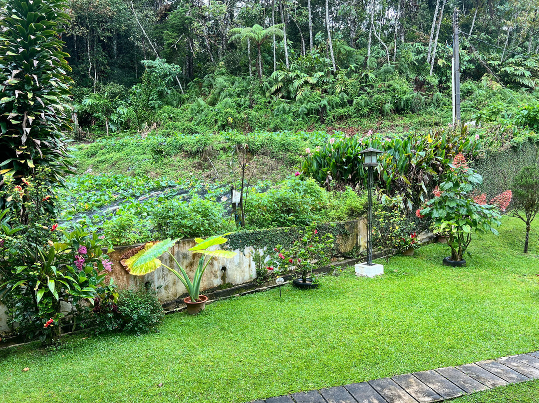 萨代拉罗莎酒店主图