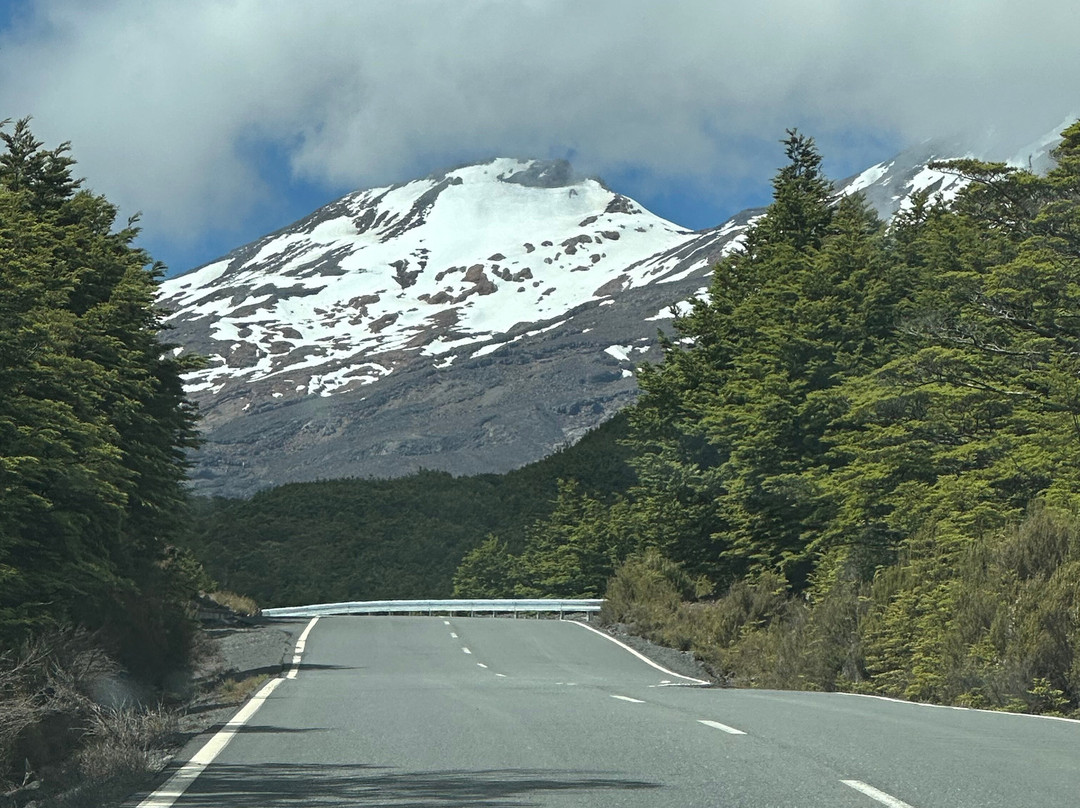Ohakune isite Visitor Information Centre景点图片