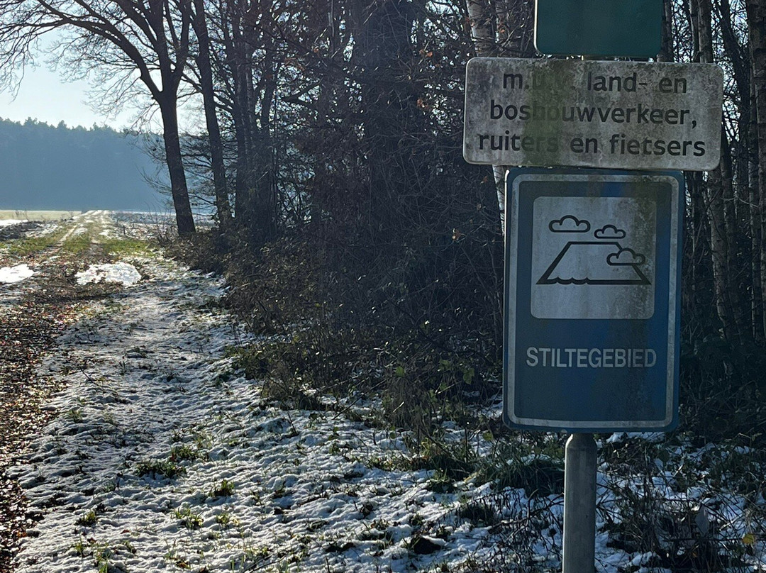 Het Gouden Hert