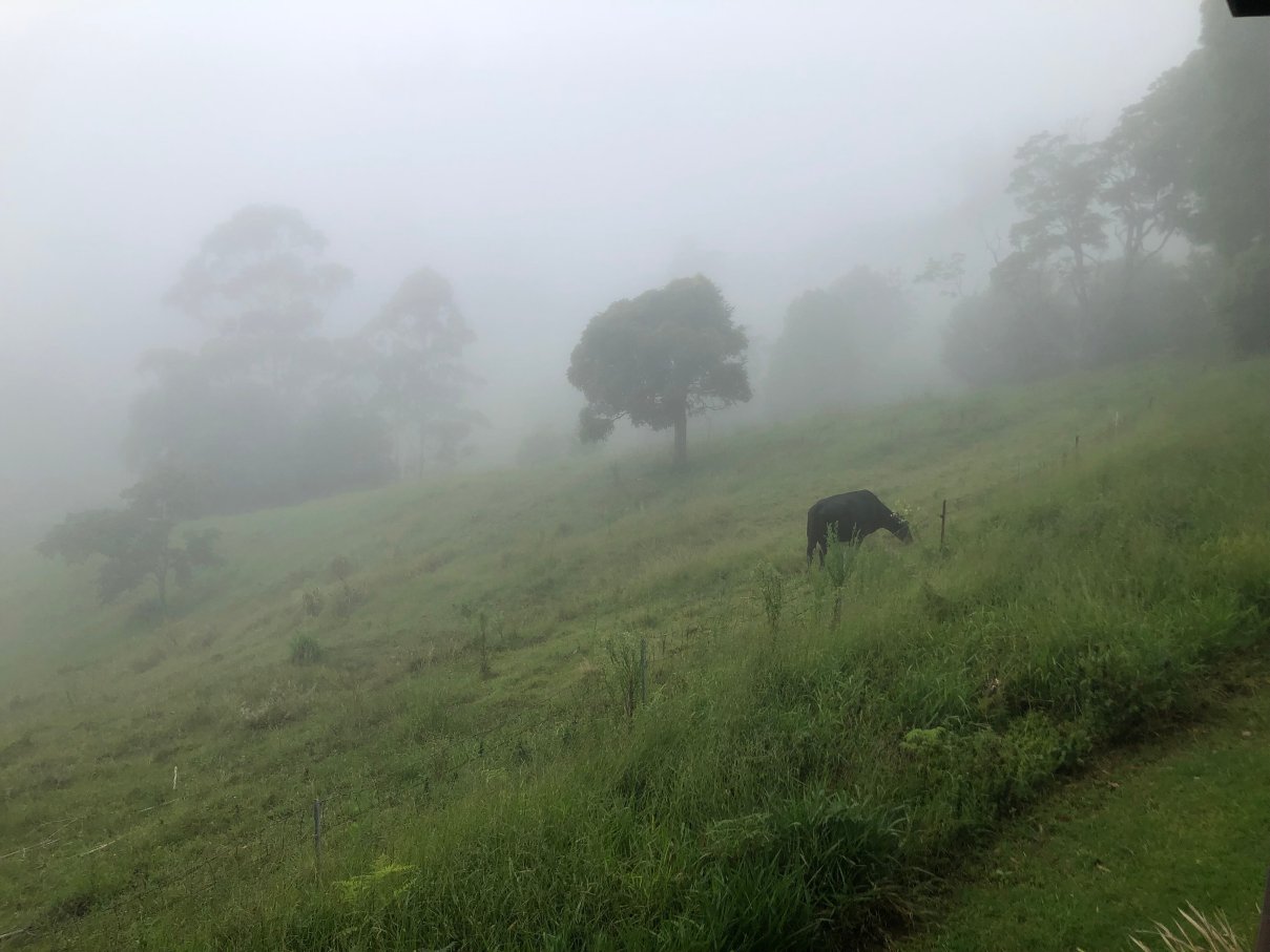 Seaview Farm Retreat-官方