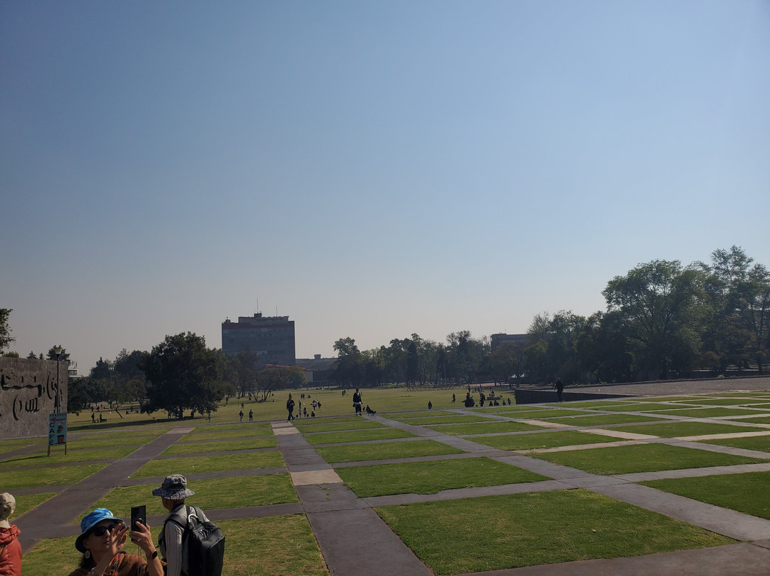 Ciudad Universitaria-墨西哥城必去景点