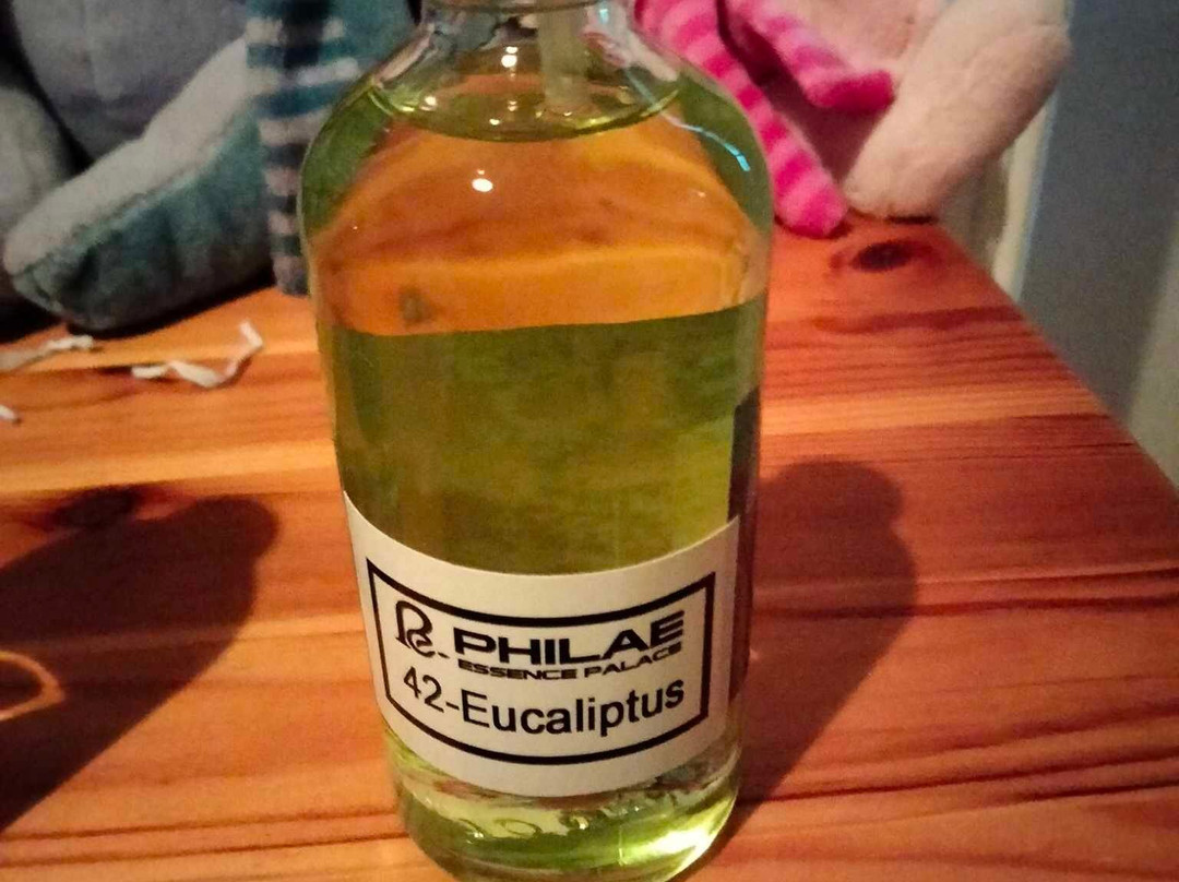 Abu Simbel Perfume Palace-Aswan 1必去景点