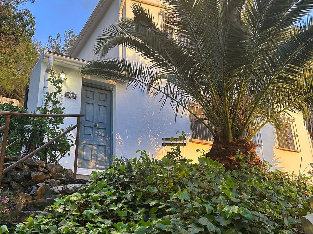 El Nispero Dulce主图