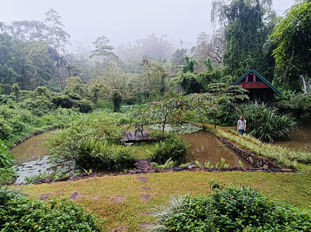 Sinharaja Forest Edge主图