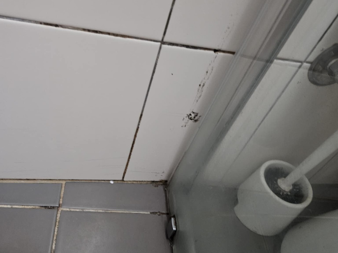 西城汽车旅馆主图