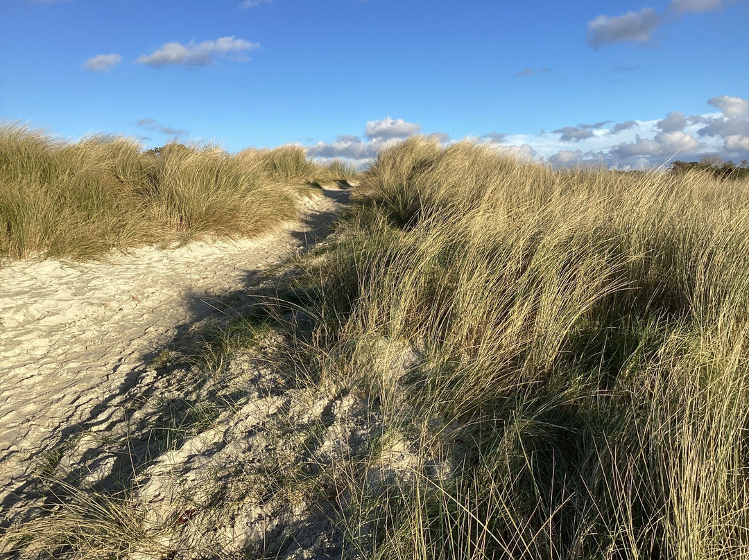 Plage Sainte Marguerite景点图片