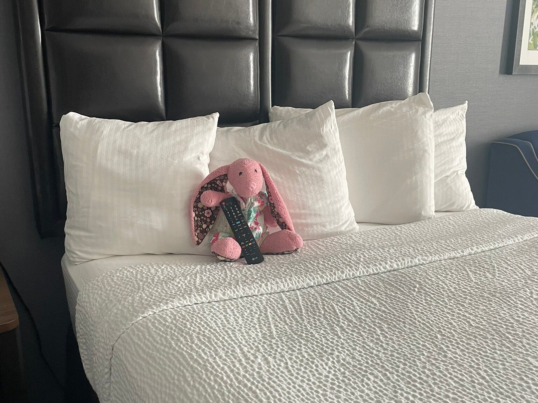 罗斯文贝斯特韦斯特优质套房酒店主图