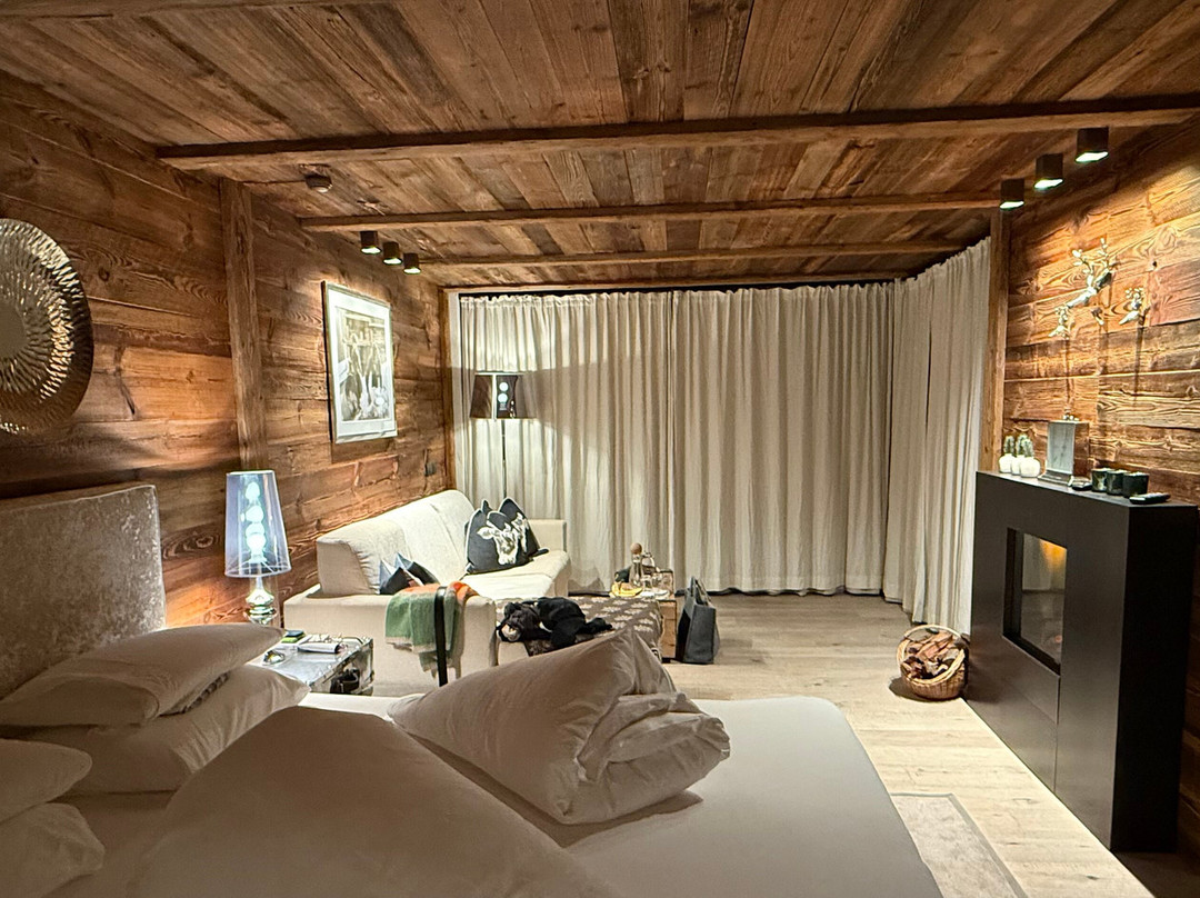 Alpine Boutique Villa Gabriela主图