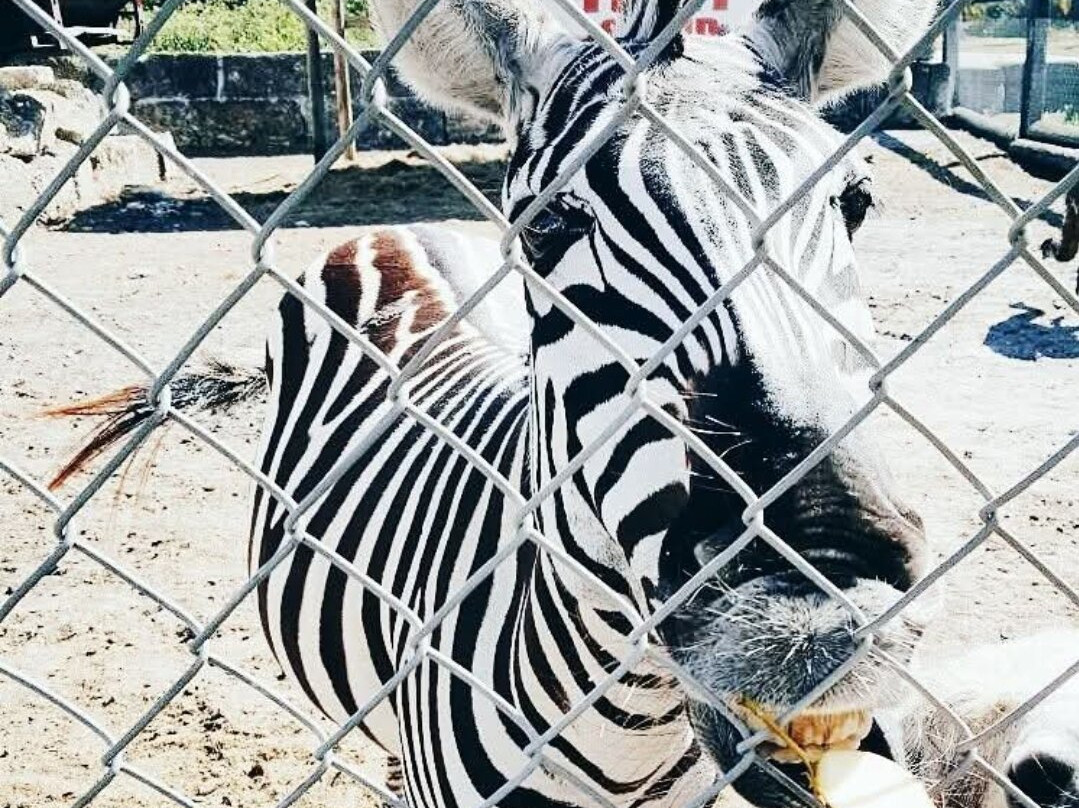 Everglades Outpost Wildlife Refuge-霍姆斯特德必去景点