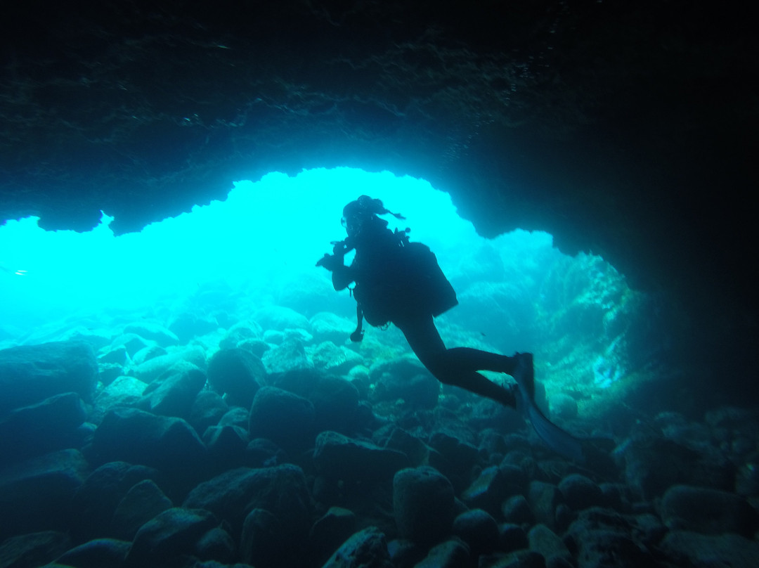 Native Diving Lanzarote-科斯塔特吉塞必去景点
