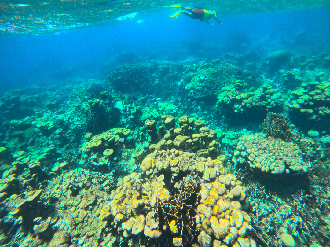 Tranquilo Charter Cruises-奥腊涅斯塔德必去景点