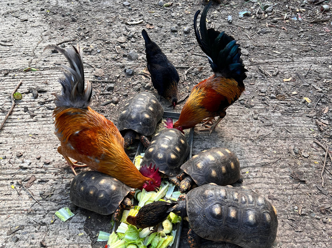 Auberge de la Petite Anse主图