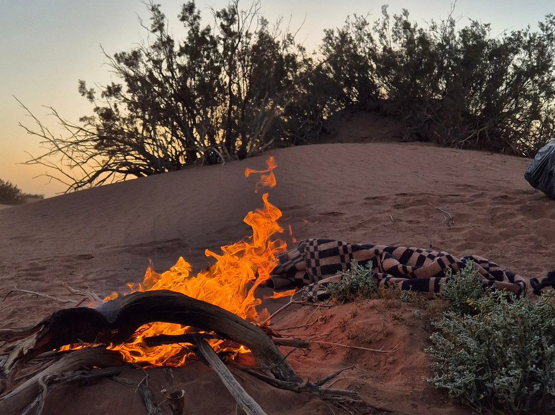 My Sahara Trek-迈哈米德必去景点