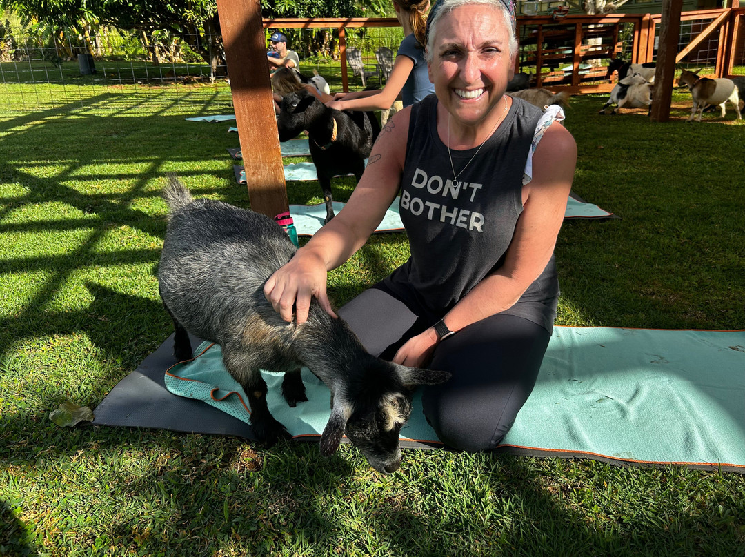 808 Goat Yoga-阿那荷拉必去景点