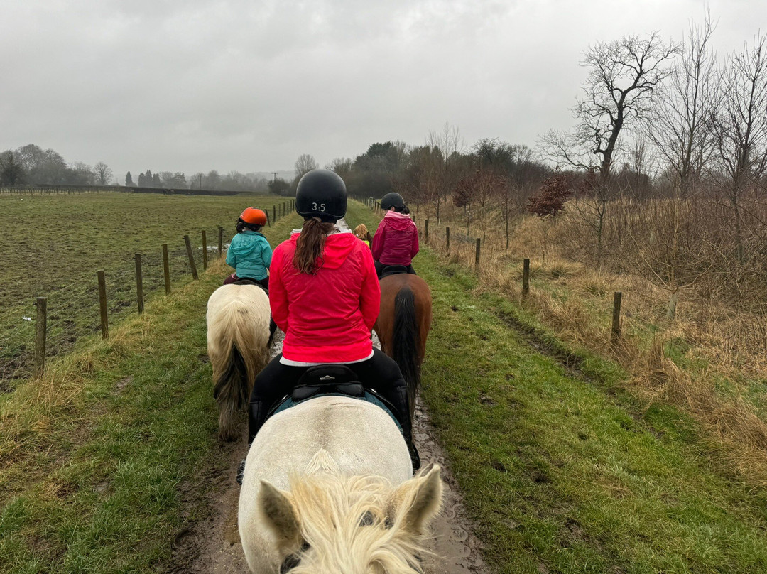 Bourton Vale Equestrian Centre景点图片