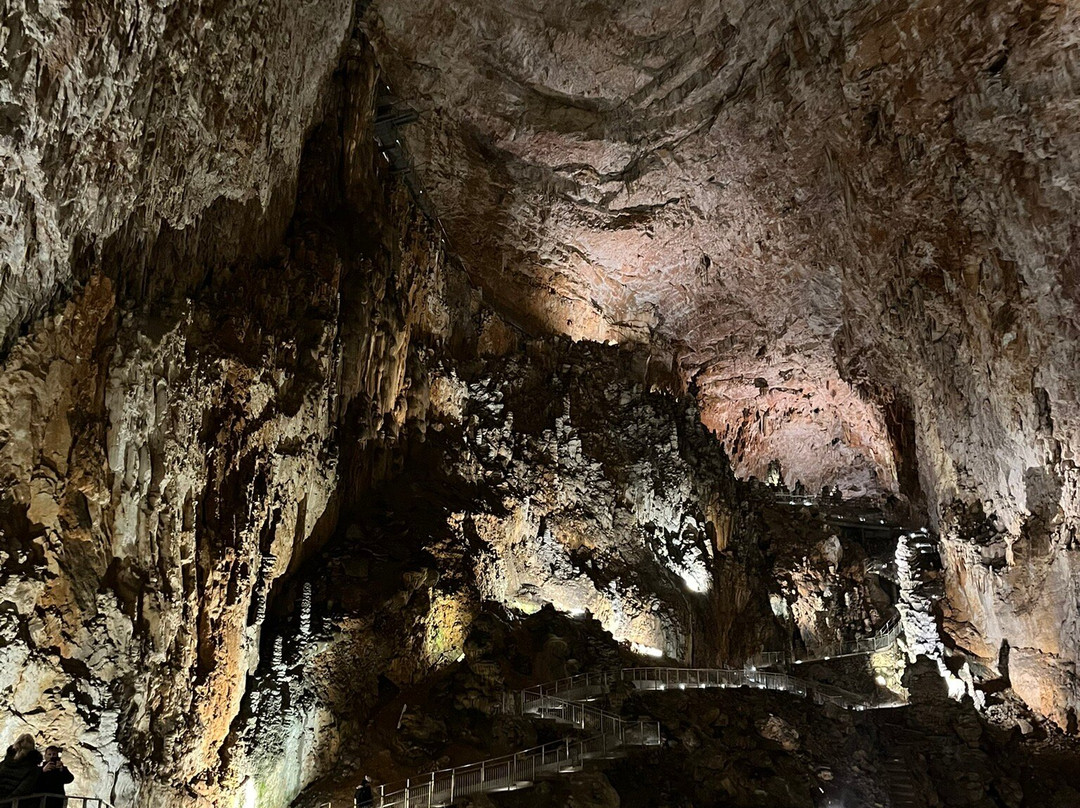 Grotta Gigante景点图片