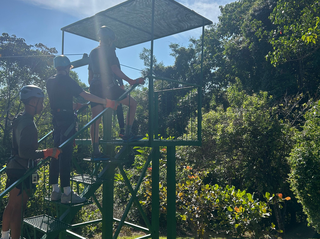 TiTi Canopy Tours景点图片