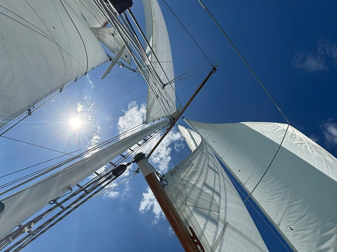 Windborne Charters-菲蒂昂格必去景点