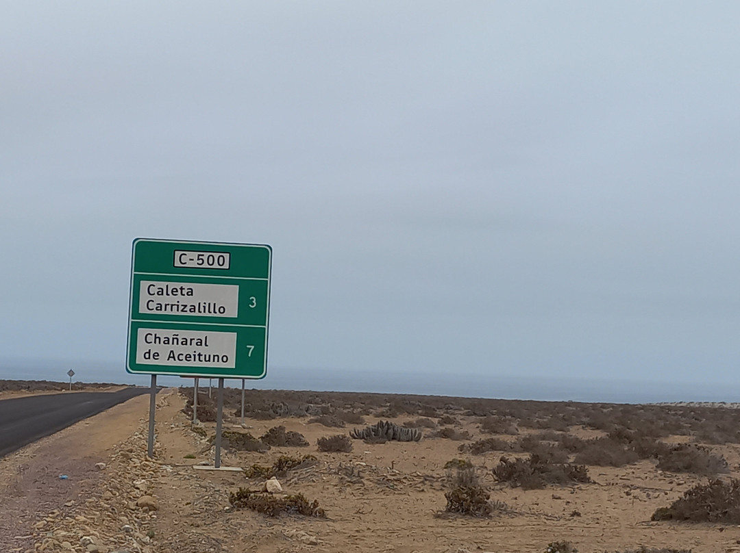 La Serena Turismo Chile-拉塞雷纳必去景点