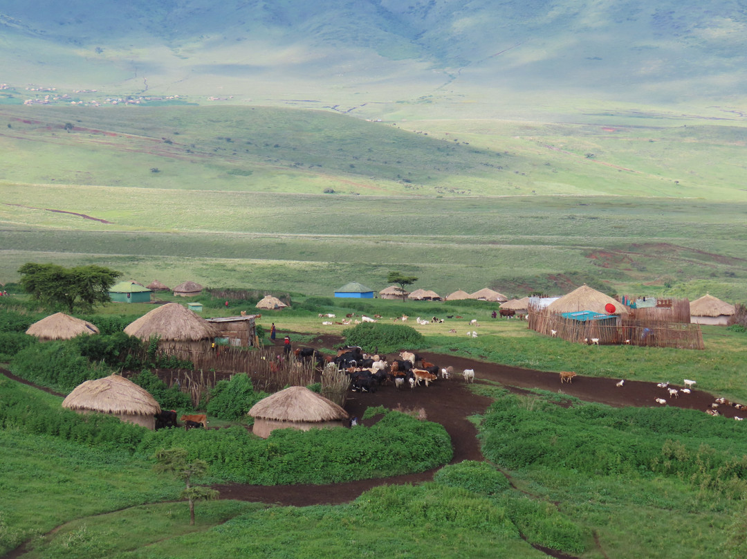 Above Safaris-阿鲁沙必去景点