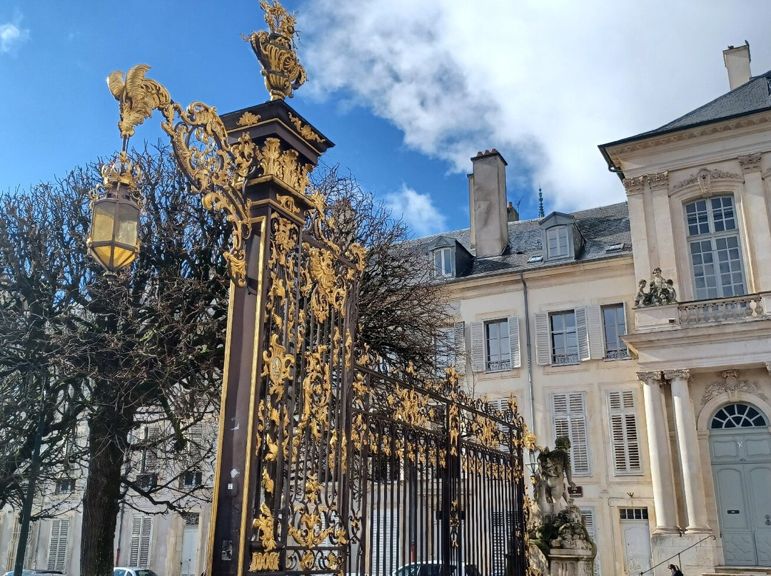 Place de la Carrière景点图片