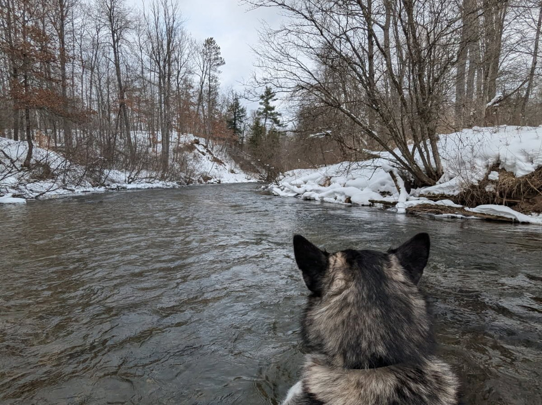 Pine River Paddlesports Center景点图片