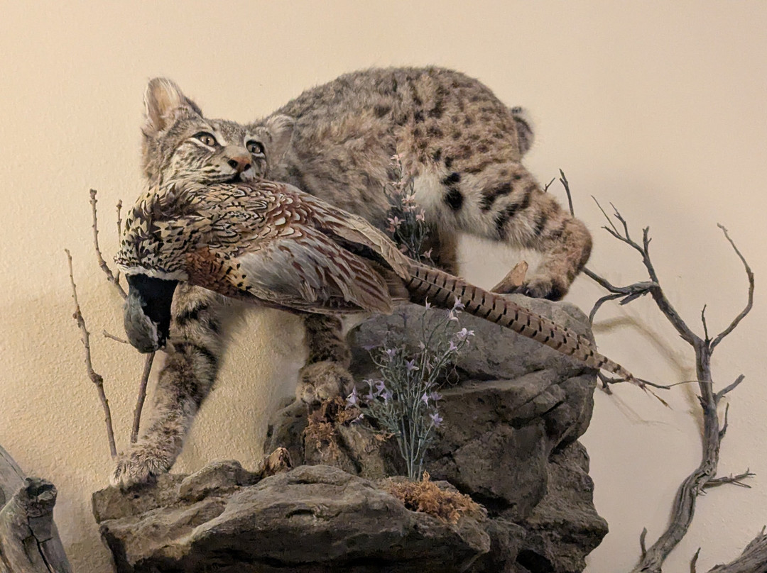 Browns Canyon Inn主图