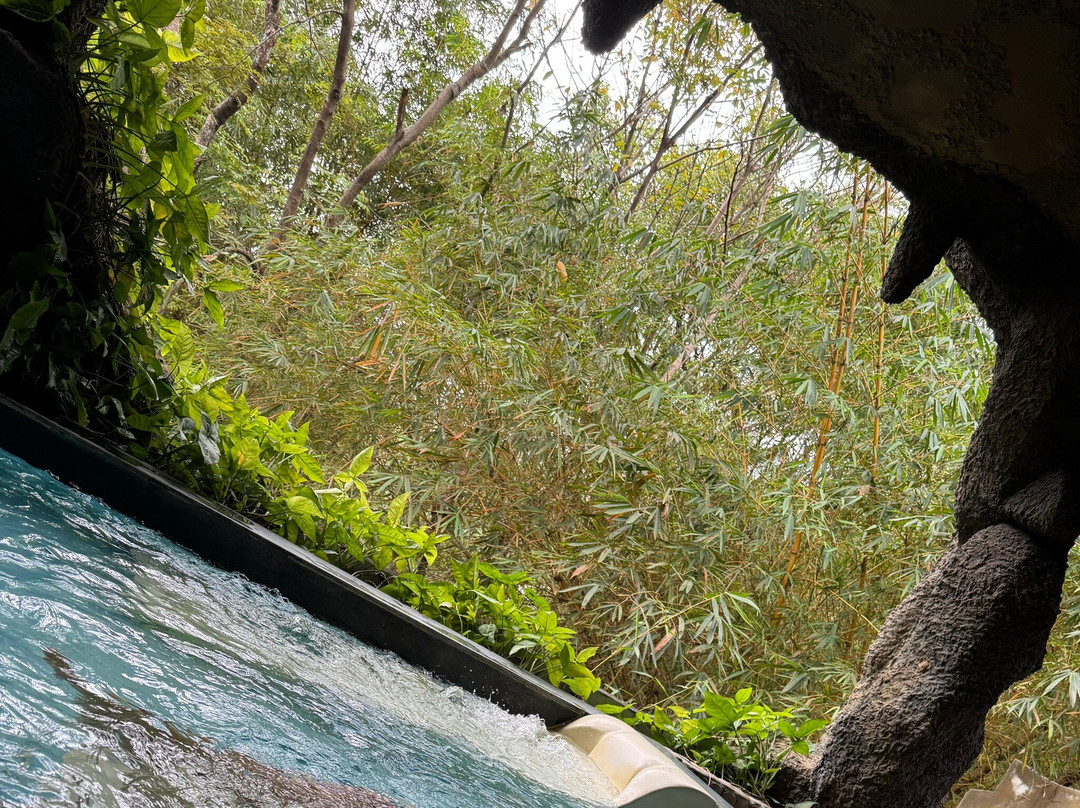 Hot spring Park-岘港必去景点