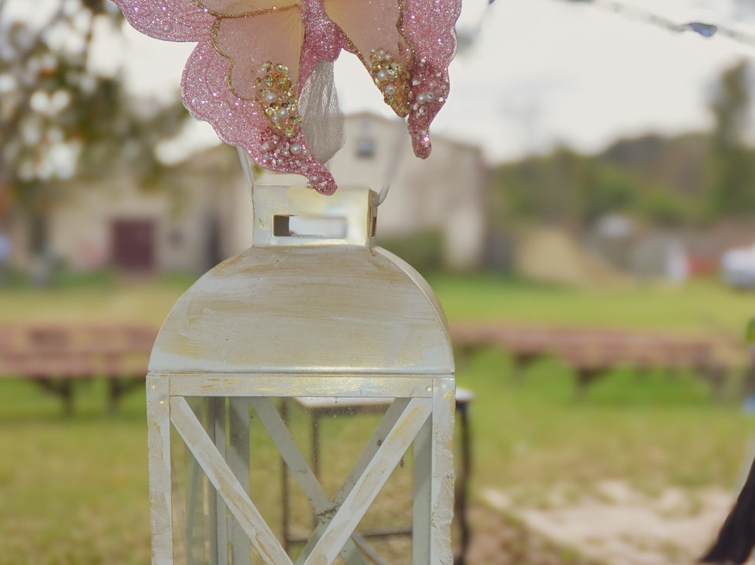 Wildwood Vineyard And Events