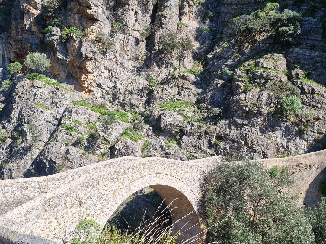 Il Ponte Del Diavolo景点图片