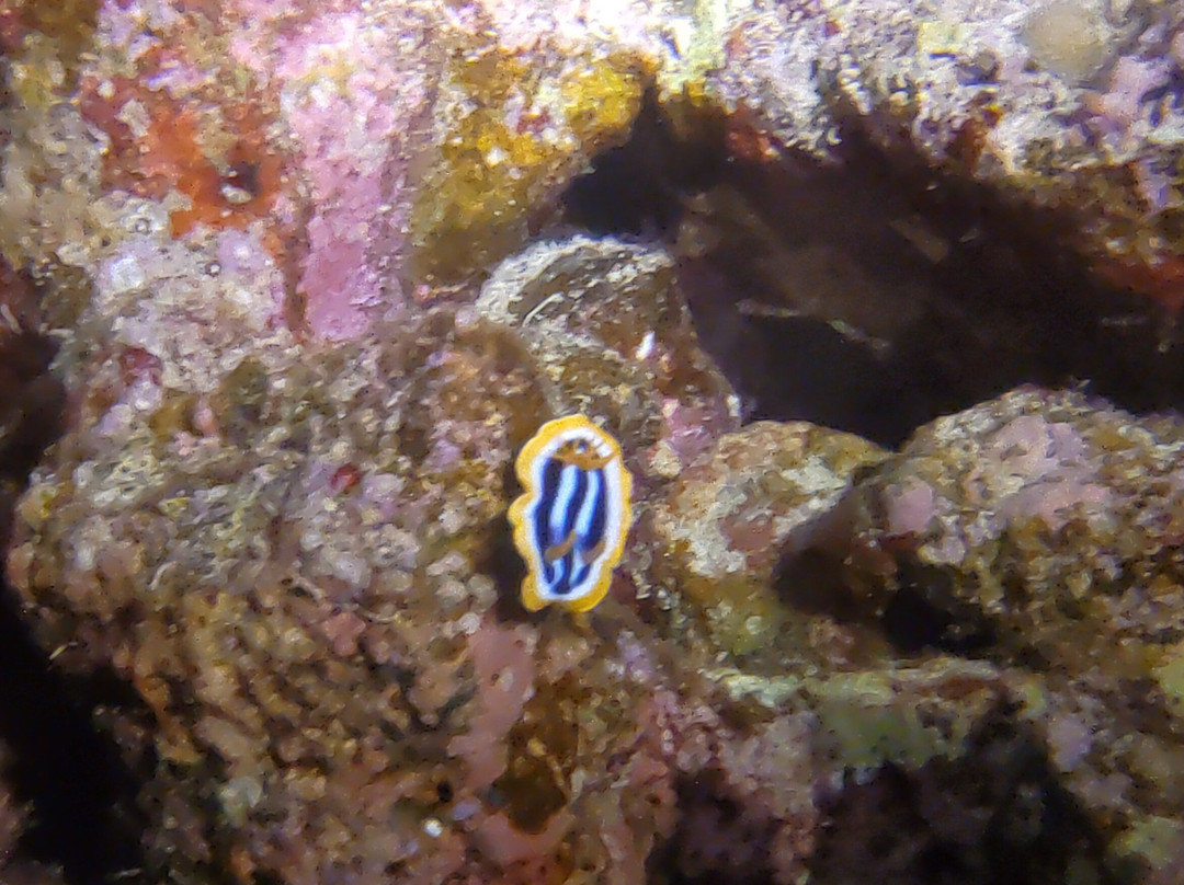 Egypt International-赫尔格达必去景点