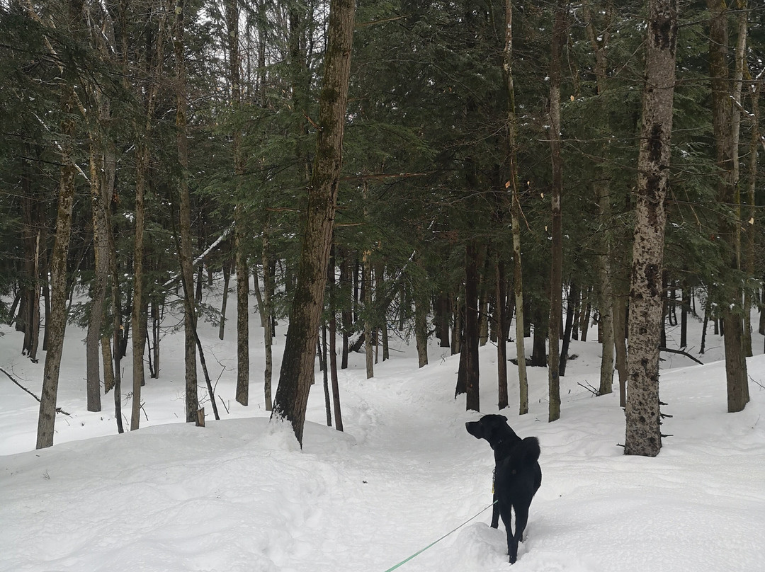 Parc du Bois-Beckett-舍布鲁克必去景点